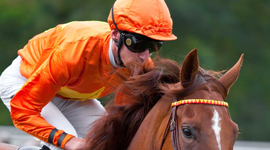Horse Racing Tickets